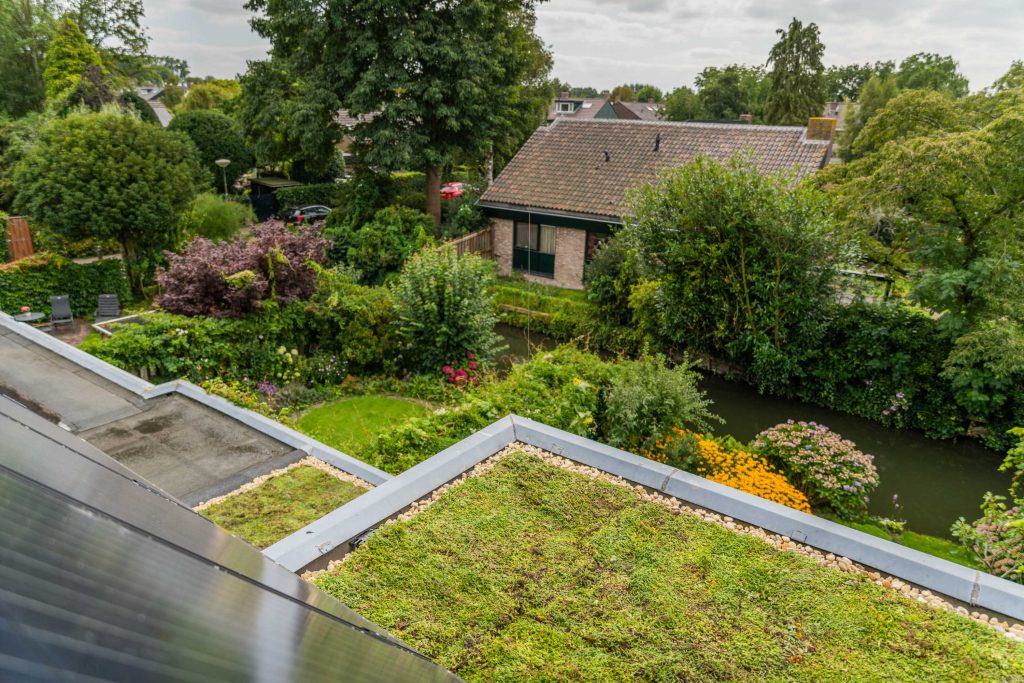 Biodiversiteit in tuin