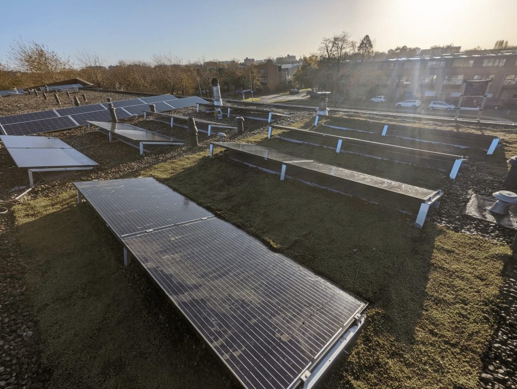 sedumdakspecialist zonnepanelen